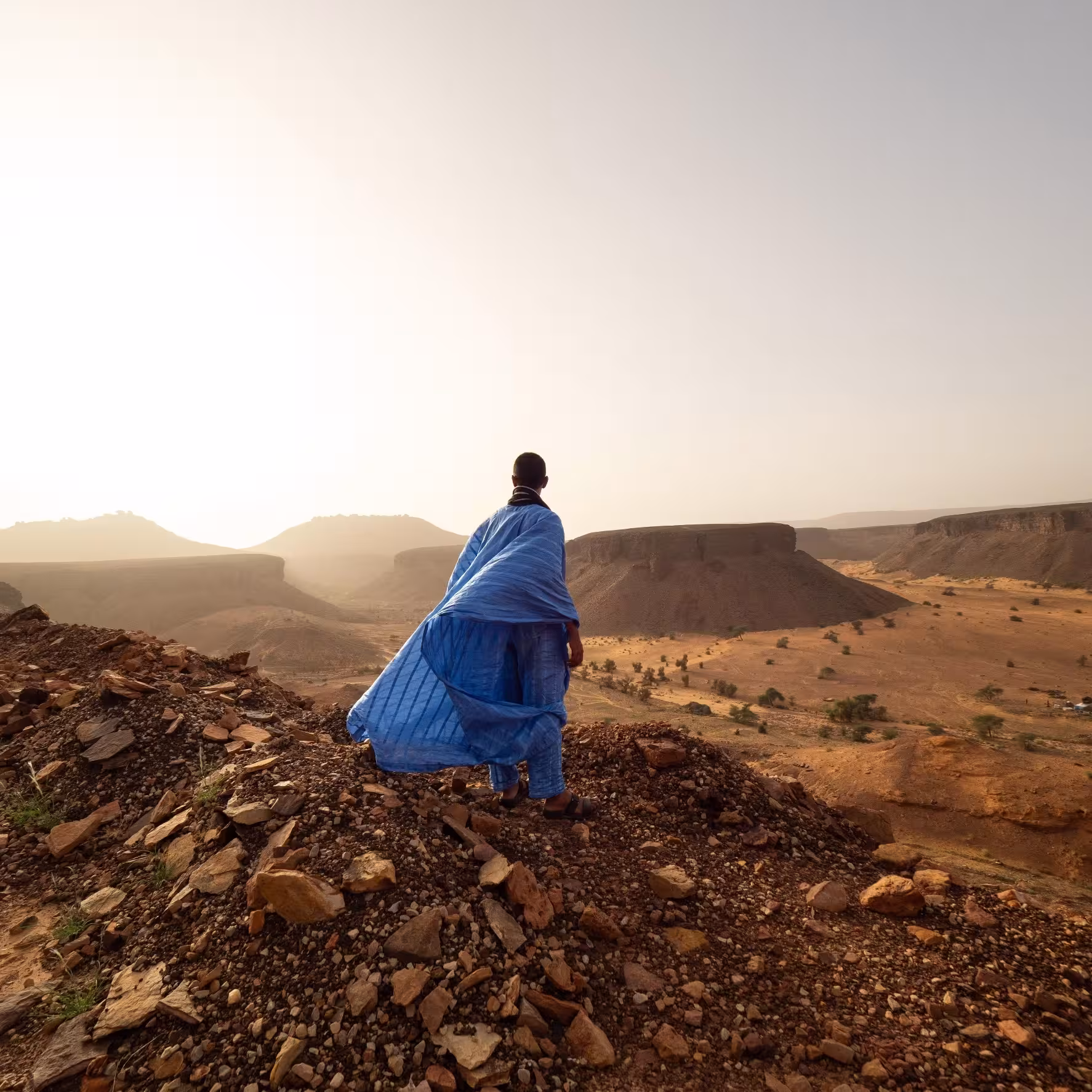 Ahmed Nayett