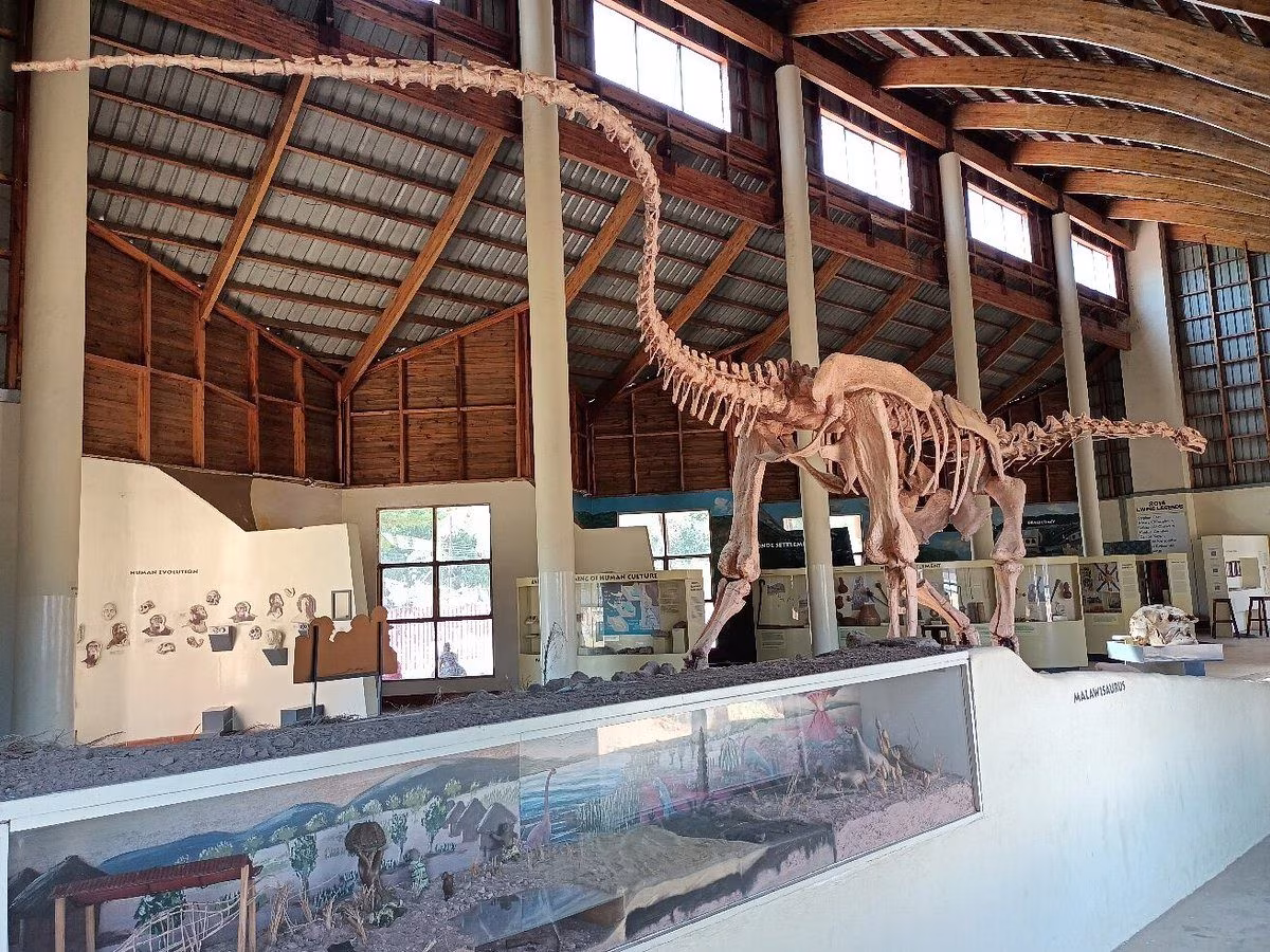 Museum tour image