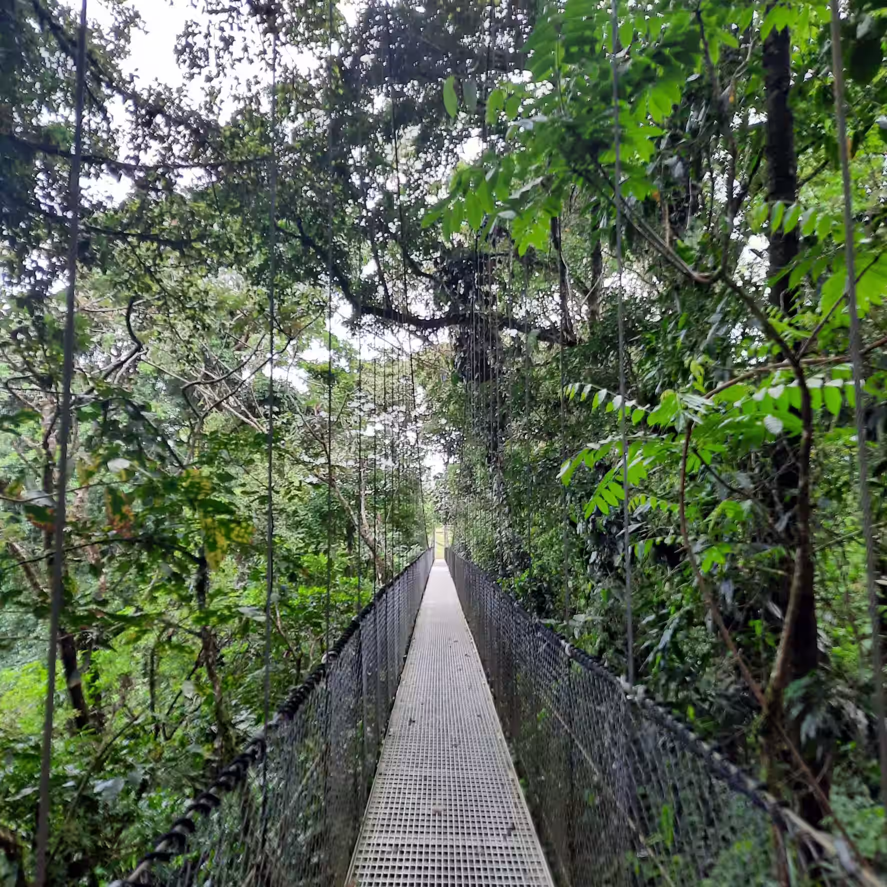 Private Mistico Park Tour tour image